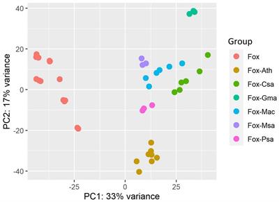 Meta-analysis of <mark class="highlighted">fungal plant pathogen</mark> Fusarium oxysporum infection-related gene profiles using transcriptome datasets